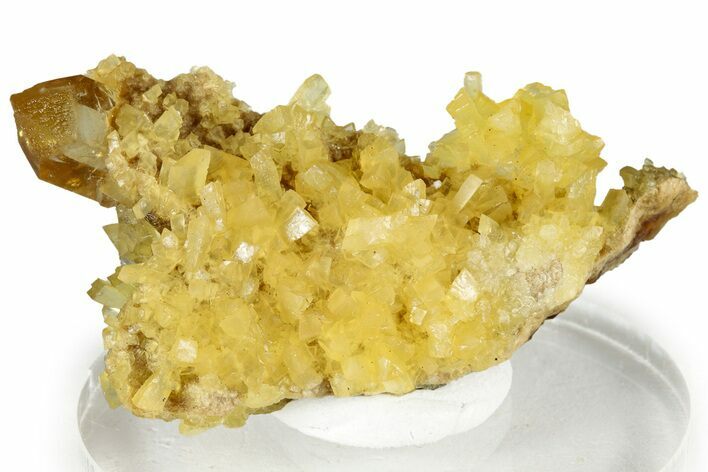 Honey Colored Barite Crystal on Fluorescent Calcite - Elk Creek #330346